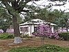 IMG_3492.JPG