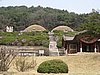 IMG_3501.JPG