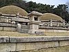 IMG_3506.JPG