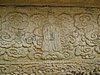 IMG_3511.JPG