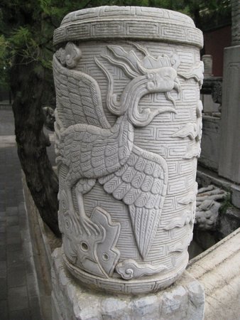 IMG_3859.JPG