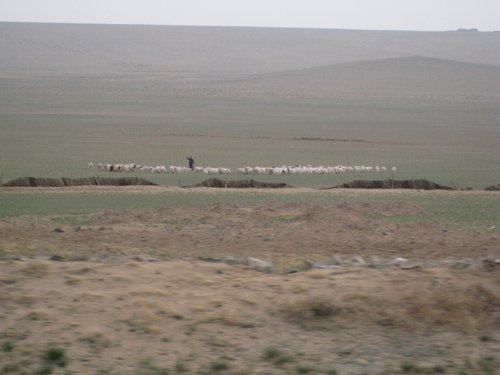 IMG_4330.JPG