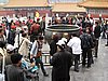 IMG_3783.JPG