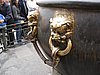 IMG_3784.JPG
