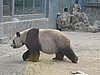 IMG_3903.JPG