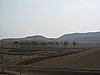 IMG_4299.JPG