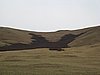 IMG_4368.JPG