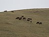 IMG_4369.JPG