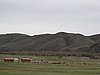 IMG_4456.JPG