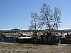 IMG_4515.JPG