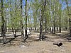 IMG_4516.JPG