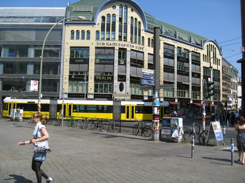 IMG_3137.JPG