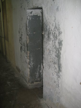 IMG_3313.JPG