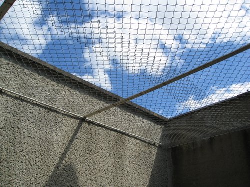 IMG_3344.JPG