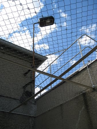 IMG_3346.JPG