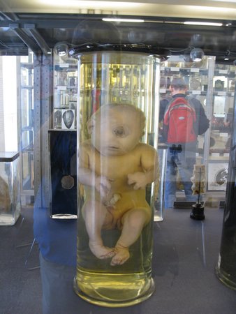 IMG_3651.JPG