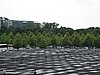 IMG_3192.JPG