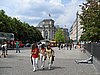 IMG_3197.JPG