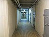 IMG_3304.JPG