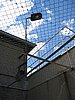 IMG_3346.JPG