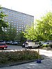 IMG_3405.JPG