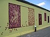 IMG_3488.JPG