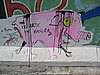 IMG_3517.JPG