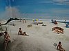 IMG_3615.JPG