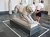 IMG_3637.JPG