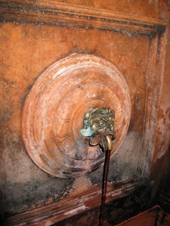IMG_3765.JPG