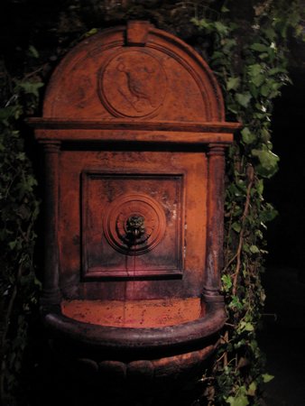 IMG_3767.JPG