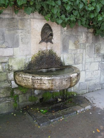 IMG_3969.JPG