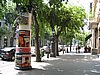 IMG_3699.JPG