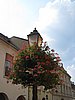 IMG_3800.JPG