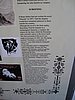 IMG_4166.JPG