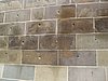 IMG_4206.JPG