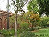 IMG_6104.JPG