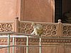 IMG_6108.JPG