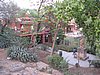 IMG_6231.JPG