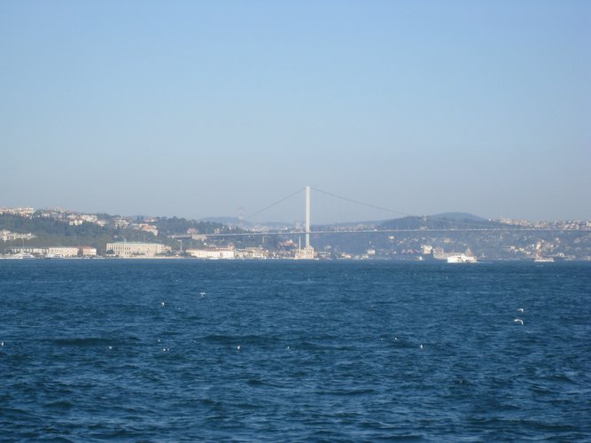 IMG_5973.JPG