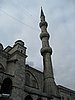 IMG_5725.JPG