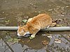 IMG_5740.JPG