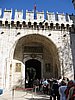 IMG_5909.JPG