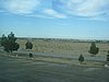 IMG_6035.JPG