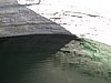 IMG_6370.JPG