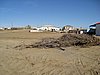 IMG_6379.JPG