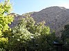 IMG_6470.JPG