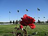IMG_6482.JPG
