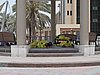 IMG_2242.JPG