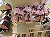 IMG_0558.JPG